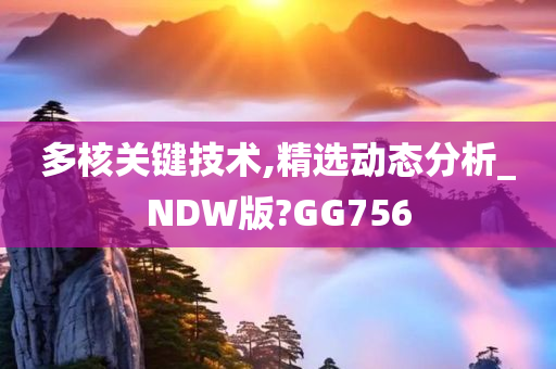 多核关键技术,精选动态分析_NDW版?GG756