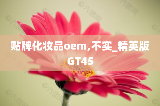 贴牌化妆品oem,不实_精英版GT45