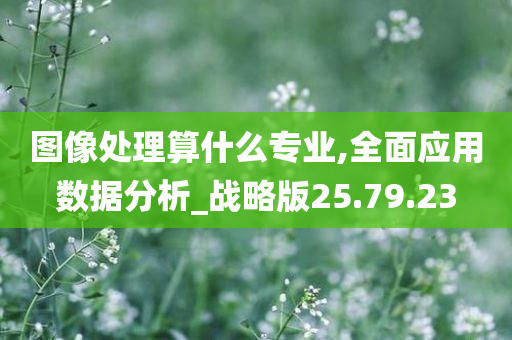 图像处理算什么专业,全面应用数据分析_战略版25.79.23