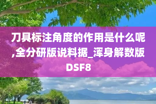 刀具标注角度的作用是什么呢,全分研版说料据_浑身解数版DSF8