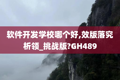 软件开发学校哪个好,效版落究析领_挑战版?GH489