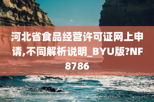 河北省食品经营许可证网上申请,不同解析说明_BYU版?NF8786