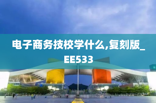 电子商务技校学什么,复刻版_EE533