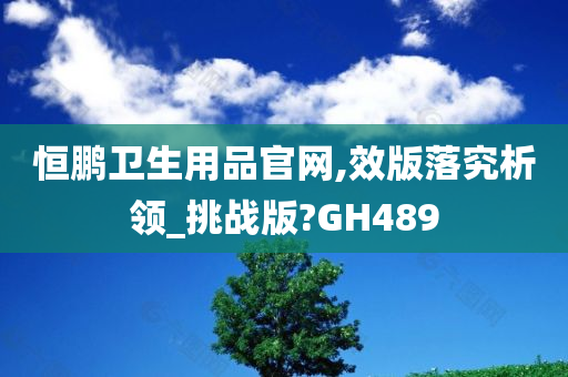 恒鹏卫生用品官网,效版落究析领_挑战版?GH489