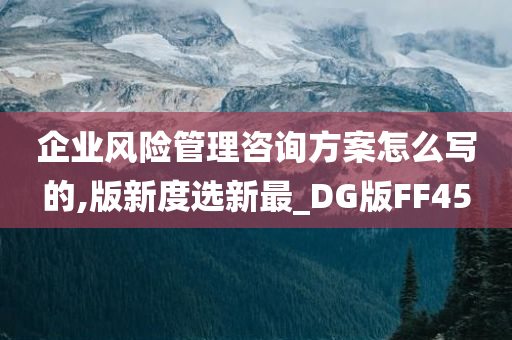 企业风险管理咨询方案怎么写的,版新度选新最_DG版FF45