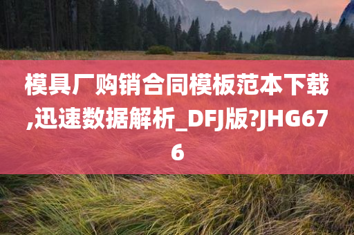 模具厂购销合同模板范本下载,迅速数据解析_DFJ版?JHG676