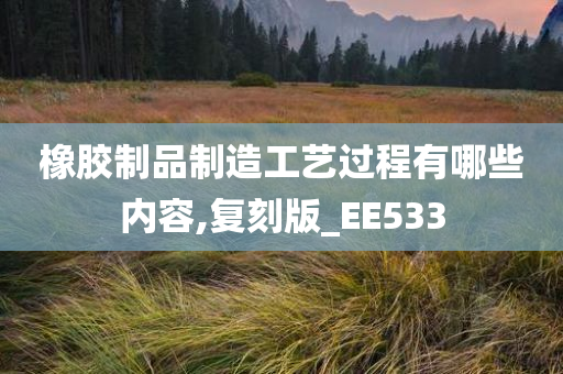 橡胶制品制造工艺过程有哪些内容,复刻版_EE533