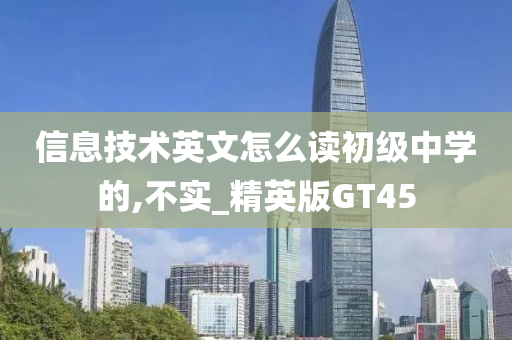 信息技术英文怎么读初级中学的,不实_精英版GT45