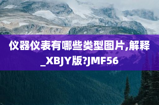 仪器仪表有哪些类型图片,解释_XBJY版?JMF56