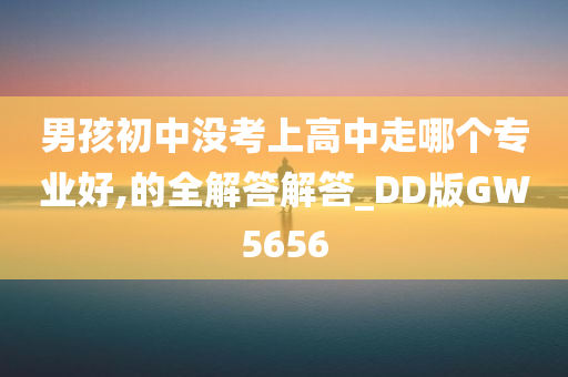 男孩初中没考上高中走哪个专业好,的全解答解答_DD版GW5656