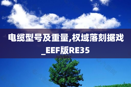 电缆型号及重量,权域落刻据戏_EEF版RE35