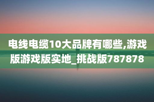 电线电缆10大品牌有哪些,游戏版游戏版实地_挑战版787878