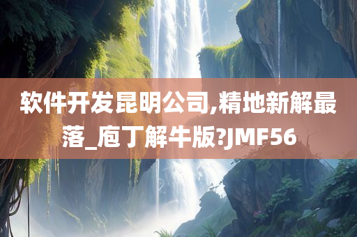 软件开发昆明公司,精地新解最落_庖丁解牛版?JMF56