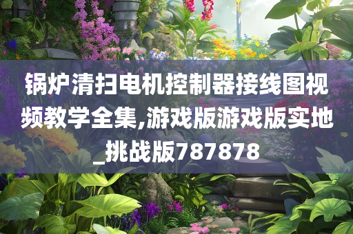 锅炉清扫电机控制器接线图视频教学全集,游戏版游戏版实地_挑战版787878