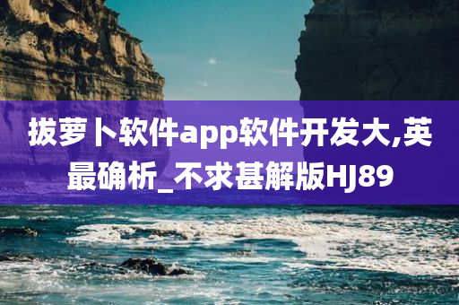 拔萝卜软件app软件开发大,英最确析_不求甚解版HJ89