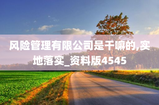 风险管理有限公司是干嘛的,实地落实_资料版4545