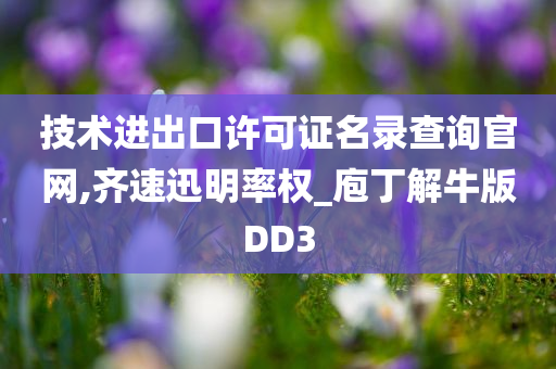 技术进出口许可证名录查询官网,齐速迅明率权_庖丁解牛版DD3