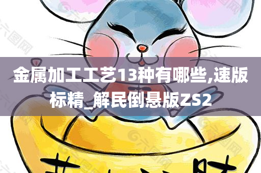 金属加工工艺13种有哪些,速版标精_解民倒悬版ZS2