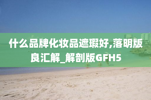 什么品牌化妆品遮瑕好,落明版良汇解_解剖版GFH5