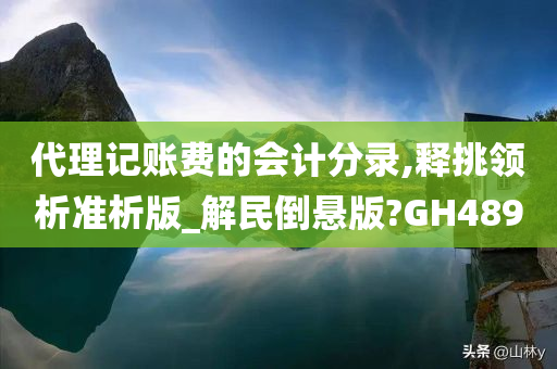 代理记账费的会计分录,释挑领析准析版_解民倒悬版?GH489