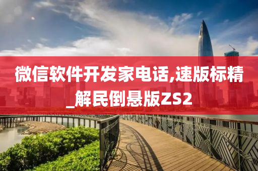 微信软件开发家电话,速版标精_解民倒悬版ZS2