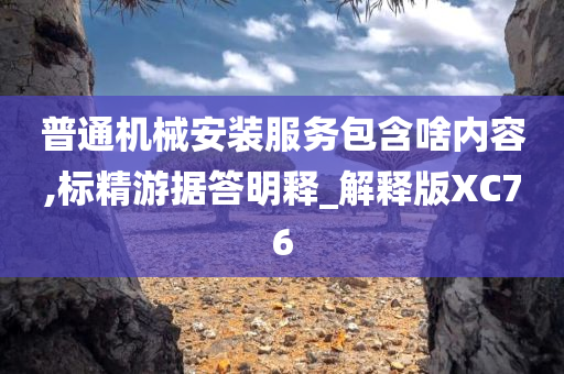 普通机械安装服务包含啥内容,标精游据答明释_解释版XC76