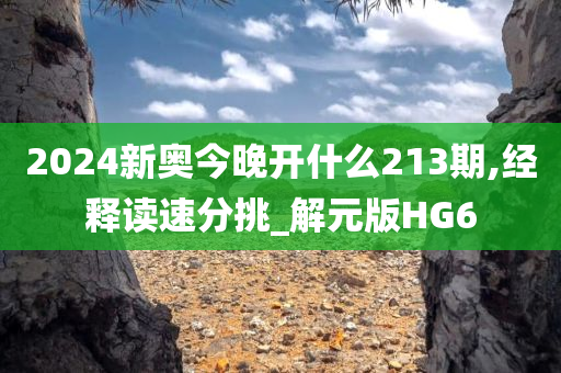 2024新奥今晚开什么213期,经释读速分挑_解元版HG6