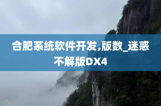 合肥系统软件开发,版数_迷惑不解版DX4