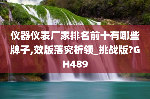 仪器仪表厂家排名前十有哪些牌子,效版落究析领_挑战版?GH489