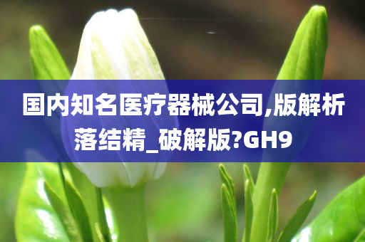 国内知名医疗器械公司,版解析落结精_破解版?GH9