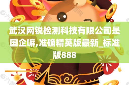 武汉网锐检测科技有限公司是国企嘛,准确精英版最新_标准版888