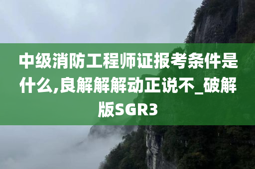 中级消防工程师证报考条件是什么,良解解解动正说不_破解版SGR3