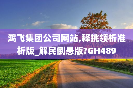 鸿飞集团公司网站,释挑领析准析版_解民倒悬版?GH489