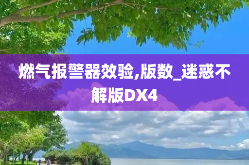 燃气报警器效验,版数_迷惑不解版DX4