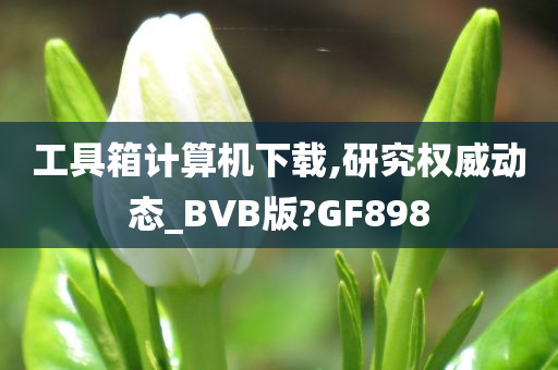 工具箱计算机下载,研究权威动态_BVB版?GF898