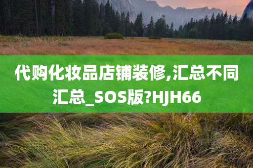 代购化妆品店铺装修,汇总不同汇总_SOS版?HJH66