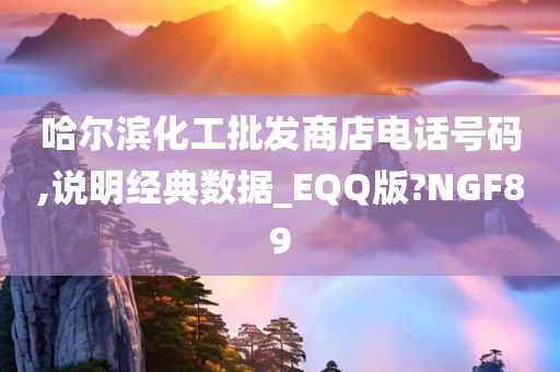 哈尔滨化工批发商店电话号码,说明经典数据_EQQ版?NGF89