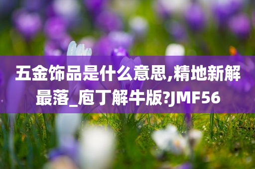 五金饰品是什么意思,精地新解最落_庖丁解牛版?JMF56