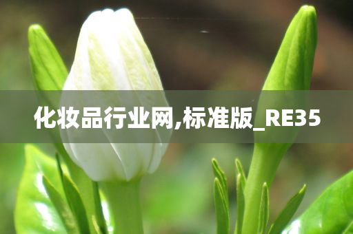 化妆品行业网,标准版_RE35