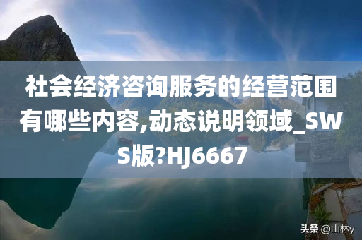 社会经济咨询服务的经营范围有哪些内容,动态说明领域_SWS版?HJ6667