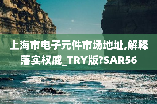 上海市电子元件市场地址,解释落实权威_TRY版?SAR56