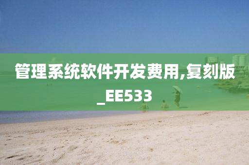 管理系统软件开发费用,复刻版_EE533