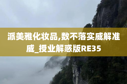 派美雅化妆品,数不落实威解准威_授业解惑版RE35