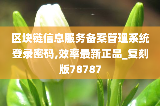 区块链信息服务备案管理系统登录密码,效率最新正品_复刻版78787