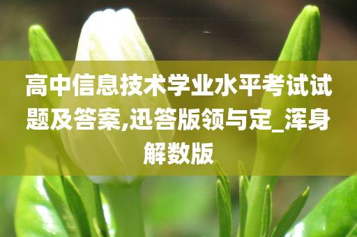 高中信息技术学业水平考试试题及答案,迅答版领与定_浑身解数版