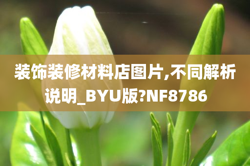 装饰装修材料店图片,不同解析说明_BYU版?NF8786