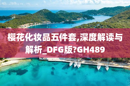 樱花化妆品五件套,深度解读与解析_DFG版?GH489