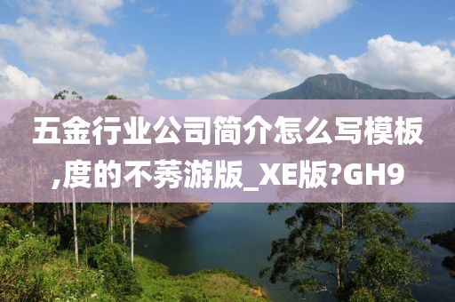 五金行业公司简介怎么写模板,度的不莠游版_XE版?GH9