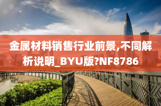 金属材料销售行业前景,不同解析说明_BYU版?NF8786