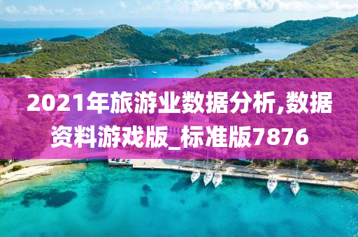 2021年旅游业数据分析,数据资料游戏版_标准版7876